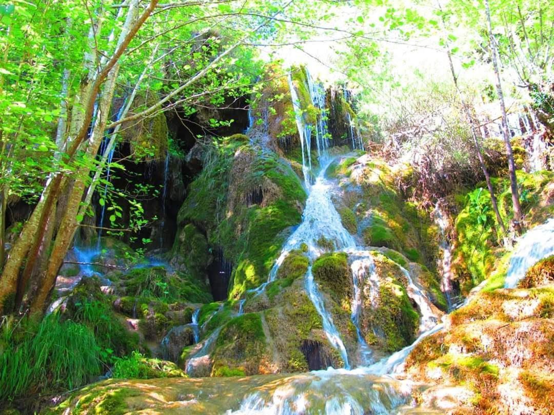 La Chabottine Vercors Saint-Just-de-Claix Dış mekan fotoğraf